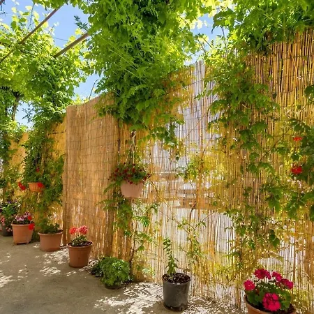 Jurica - 300 M From Sea Apartment